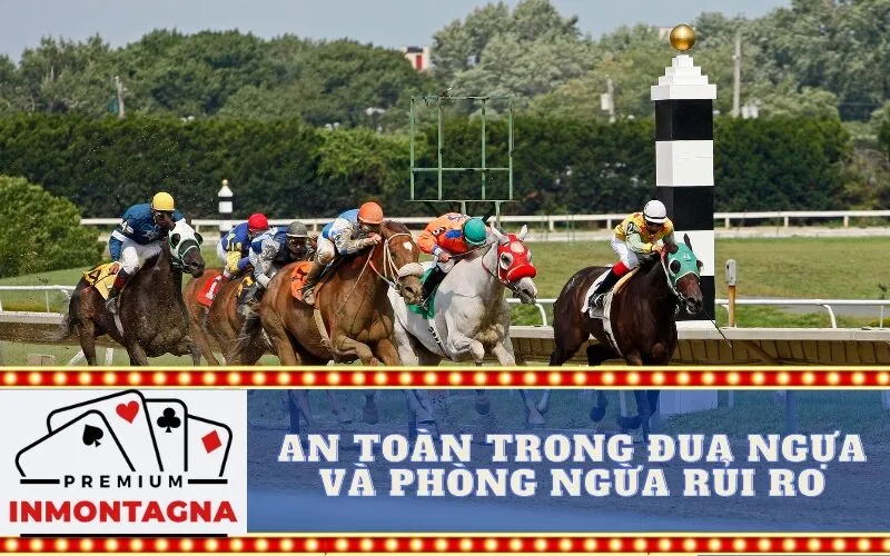 An toàn trong đua ngựa và phòng ngừa rủi ro