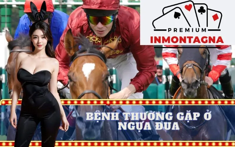 bệnh thường gặp ở ngựa đua