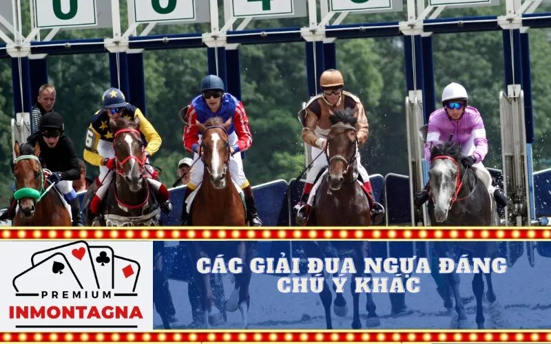 Các giải đua ngựa đáng chú ý khác 