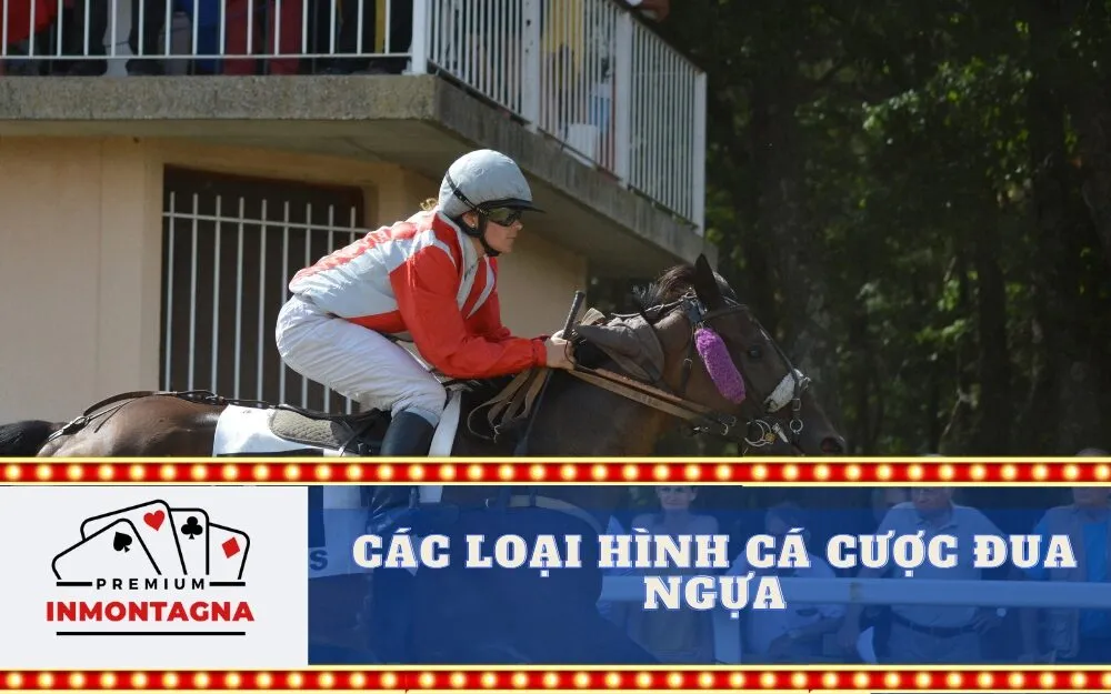 Các loại hình cá cược đua ngựa