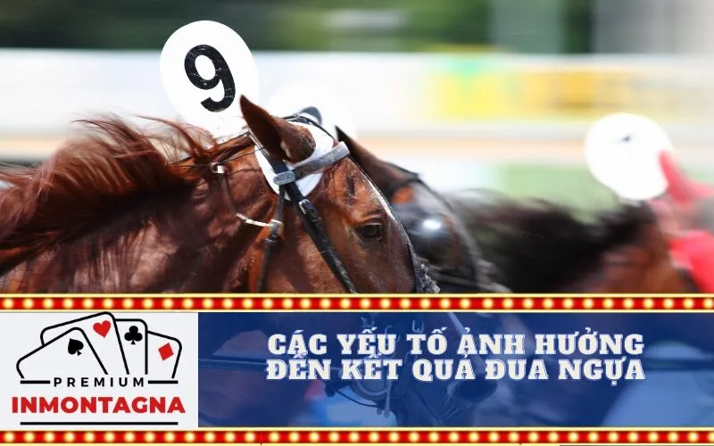 Các Yếu Tố Ảnh Hưởng Đến Kết Quả Đua Ngựa
