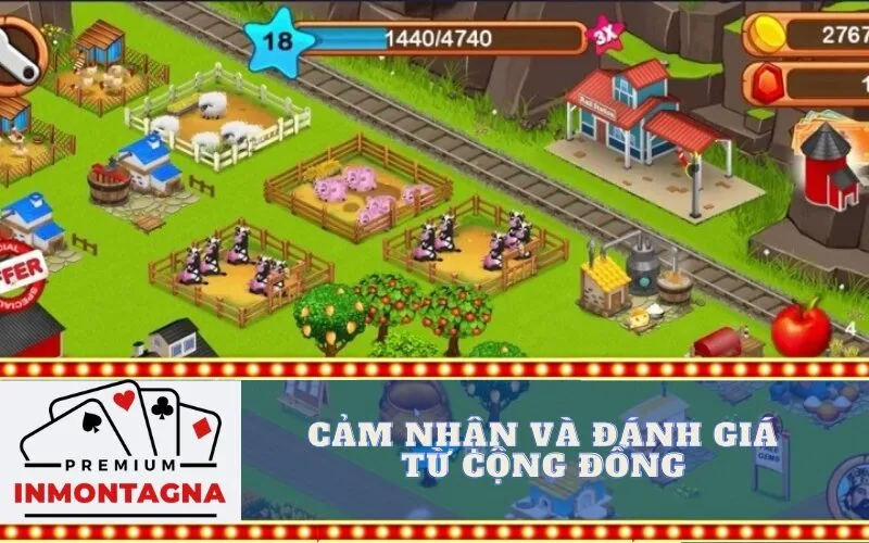 Cảm Nhận và Đánh Giá Từ Cộng Đồng