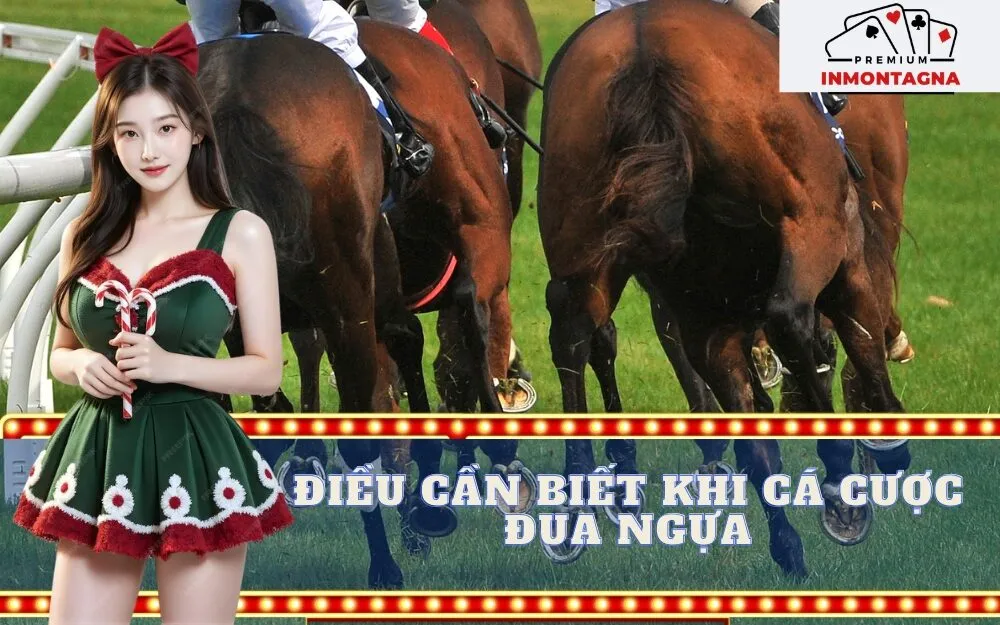 điều cần biết khi tham gia cá cược đua ngựa