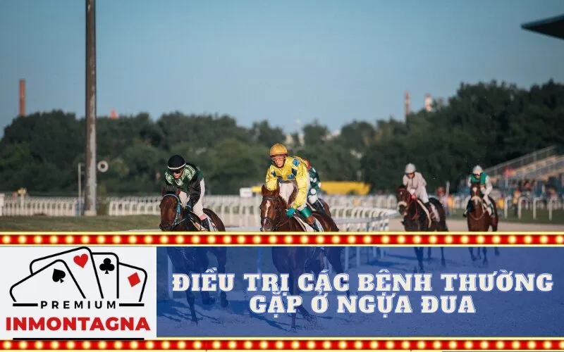 Điều trị các bệnh thường gặp ở ngựa đua