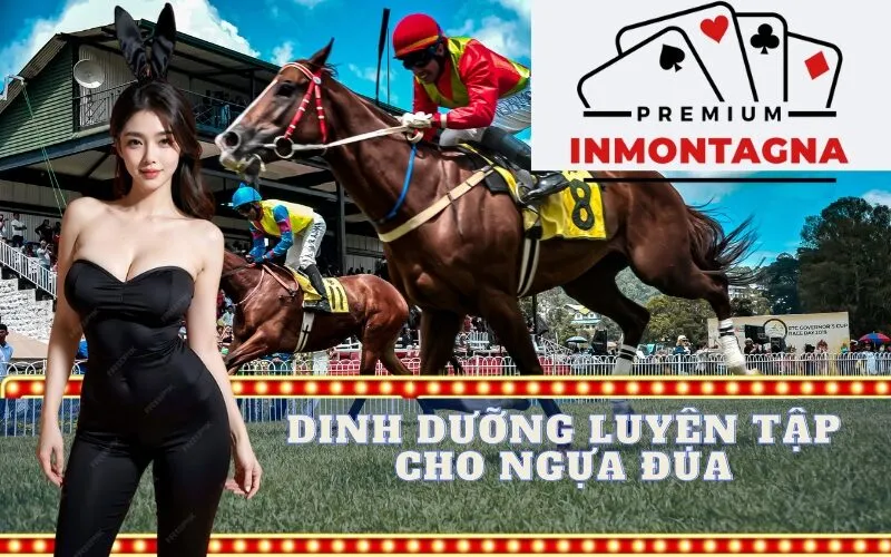 dinh dưỡng và luyện tập cho ngựa đua