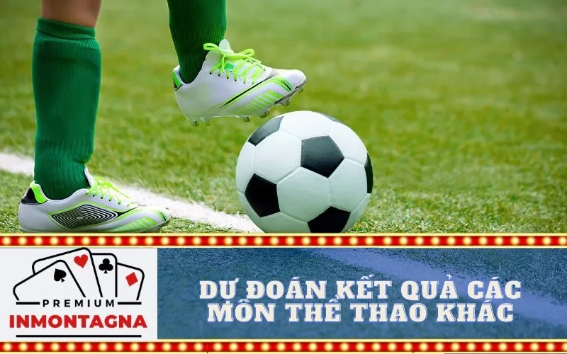 Dự đoán kết quả các môn thể thao khác