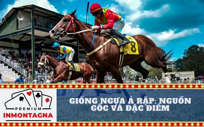 Giống Ngựa Ả Rập: Nguồn gốc và Đặc điểm