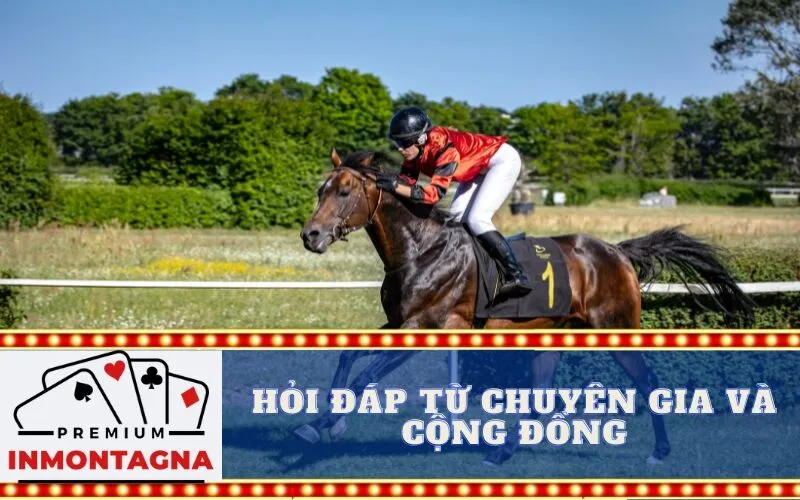 Hỏi Đáp Từ Chuyên Gia và Cộng Đồng