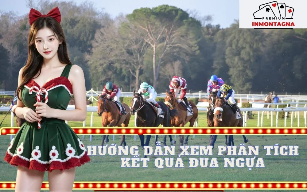 Hướng dẫn xem và phân tích kết quả đua ngựa