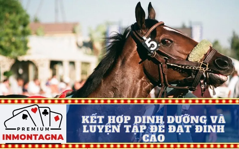 Kết hợp dinh dưỡng và luyện tập để đạt đỉnh cao