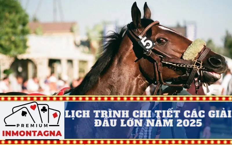 Lịch trình chi tiết các giải đấu lớn năm 2025