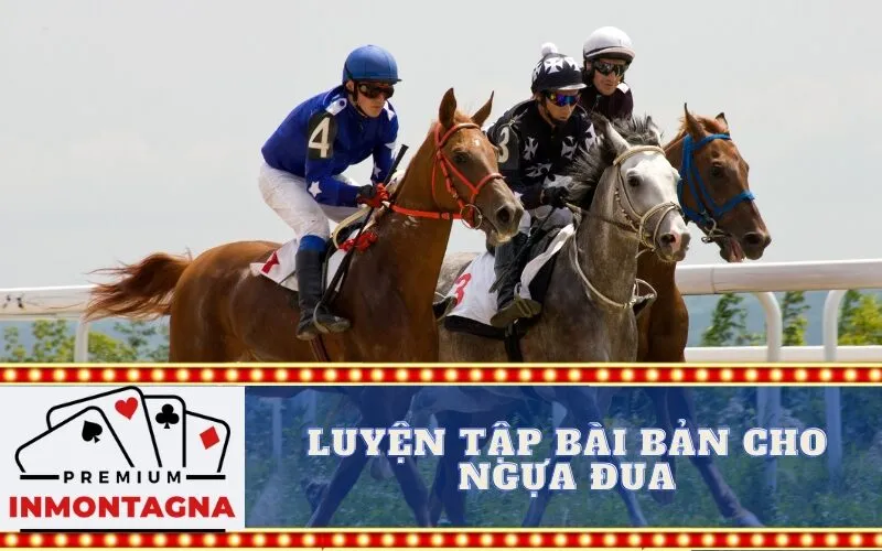 Luyện tập bài bản cho ngựa đua