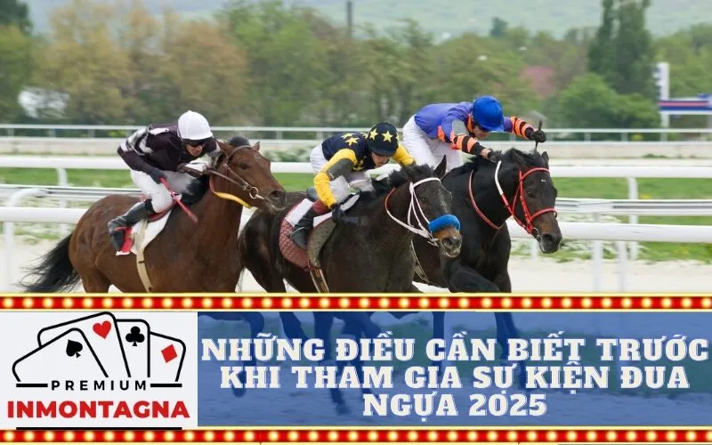 Những điều cần biết trước khi tham gia sự kiện đua ngựa 2025