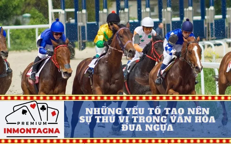 Những Yếu Tố Tạo Nên Sự Thú Vị Trong Văn Hóa Đua Ngựa