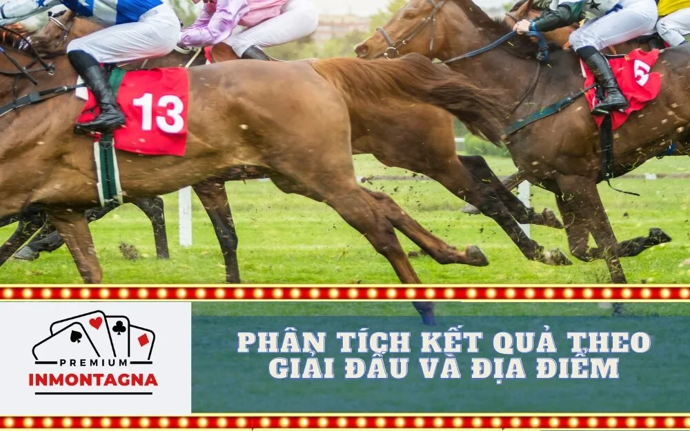 Phân tích kết quả theo giải đấu và địa điểm
