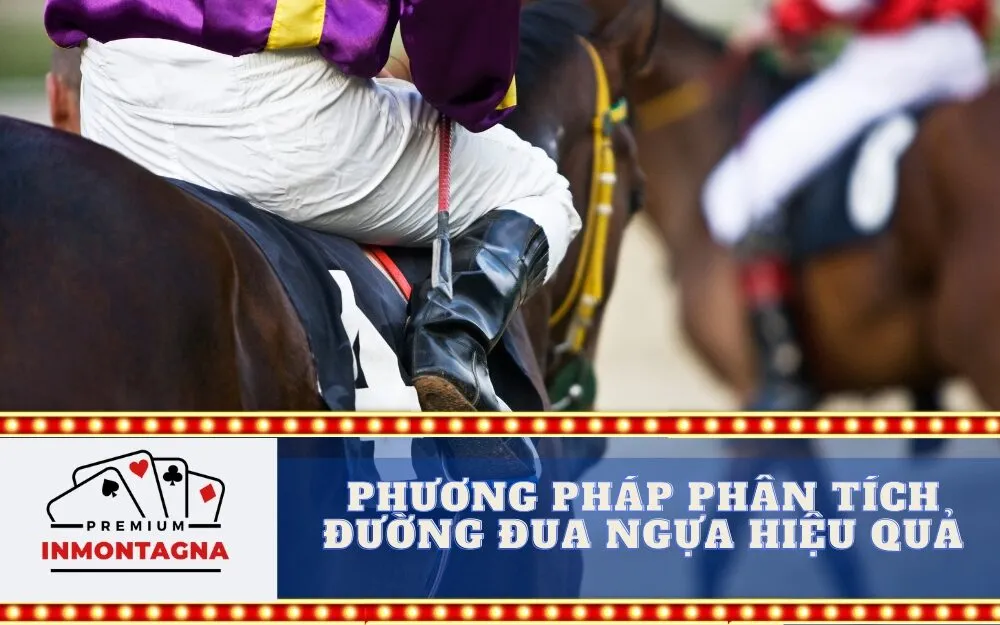 Phương pháp phân tích đường đua ngựa hiệu quả