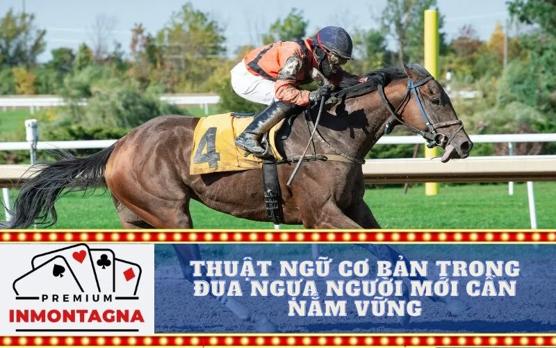 Thuật Ngữ Cơ Bản Trong Đua Ngựa Người Mới Cần Nắm Vững