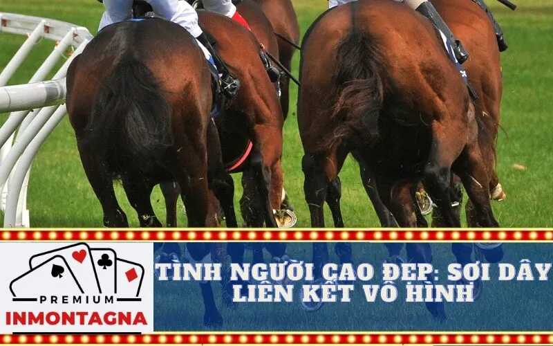 Tình Người Cao Đẹp: Sợi Dây Liên Kết Vô Hình