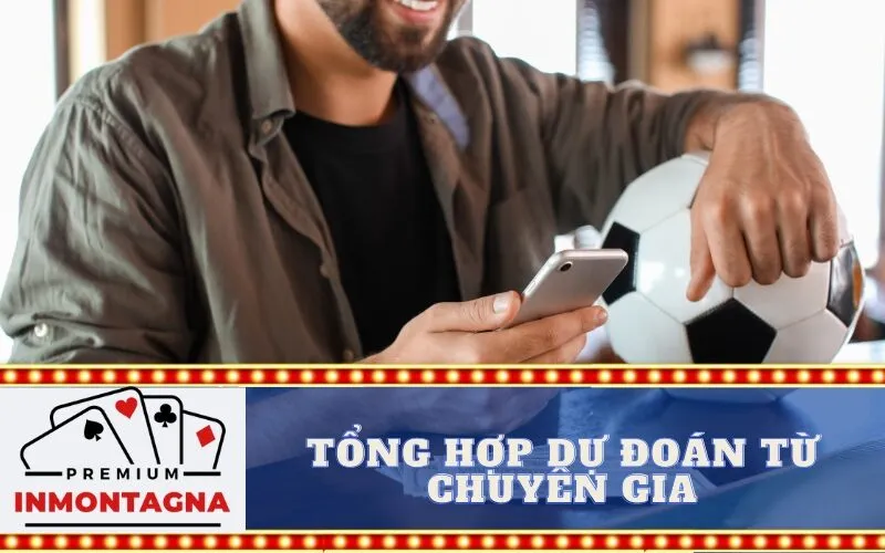 Tổng hợp dự đoán từ chuyên gia