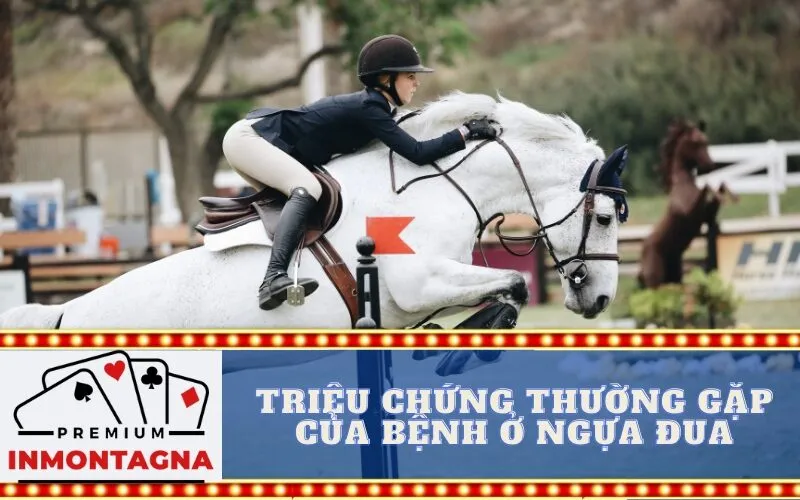 Triệu chứng thường gặp của bệnh ở ngựa đua