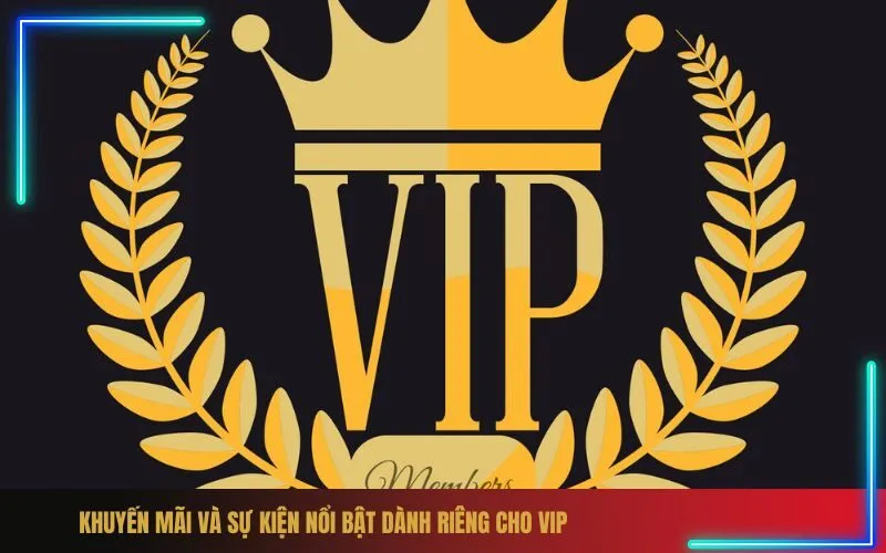 Khuyến Mãi Và Sự Kiện Nổi Bật Dành Riêng Cho VIP