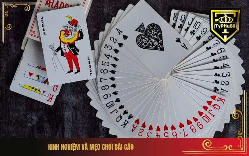 Kinh nghiệm và mẹo chơi bài cào