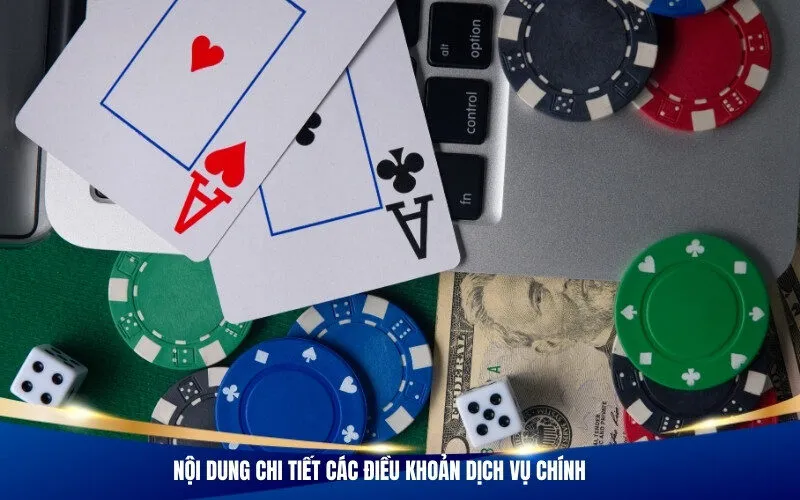 Nội dung chi tiết các điều khoản dịch vụ chính