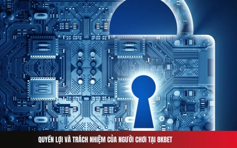 Quyền lợi và trách nhiệm của người chơi tại 8Kbet