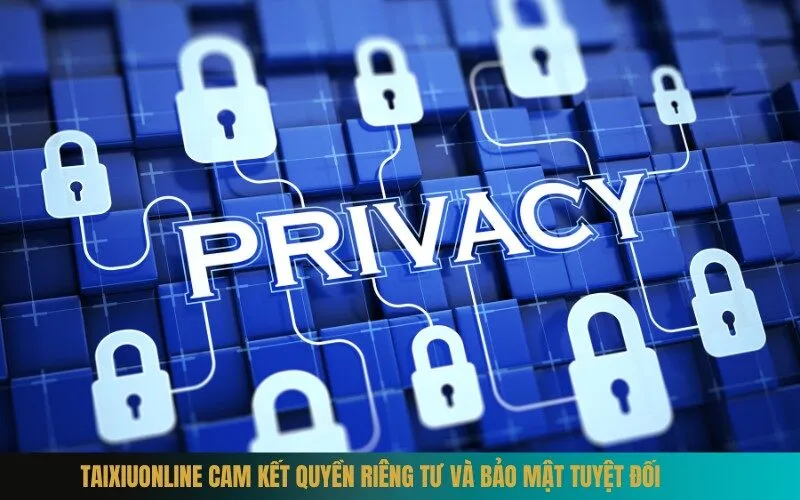 Taixiuonline Cam Kết Quyền Riêng Tư Và Bảo Mật Tuyệt Đối