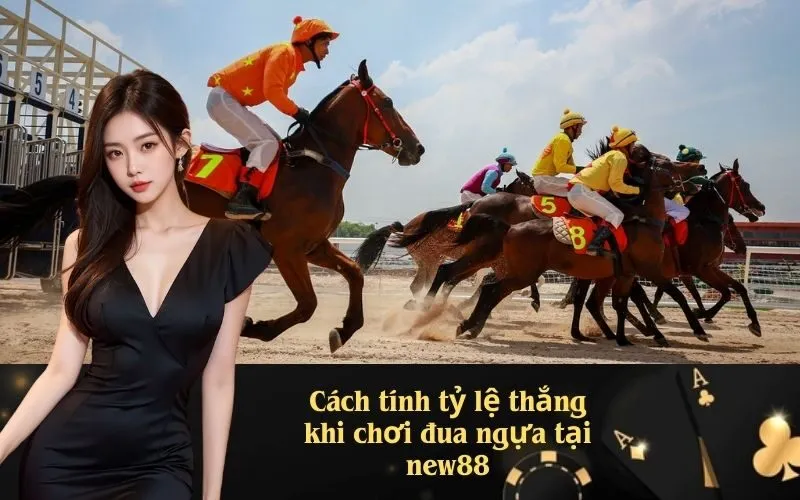 Cách tính tỷ lệ thắng khi chơi đua ngựa tại new88